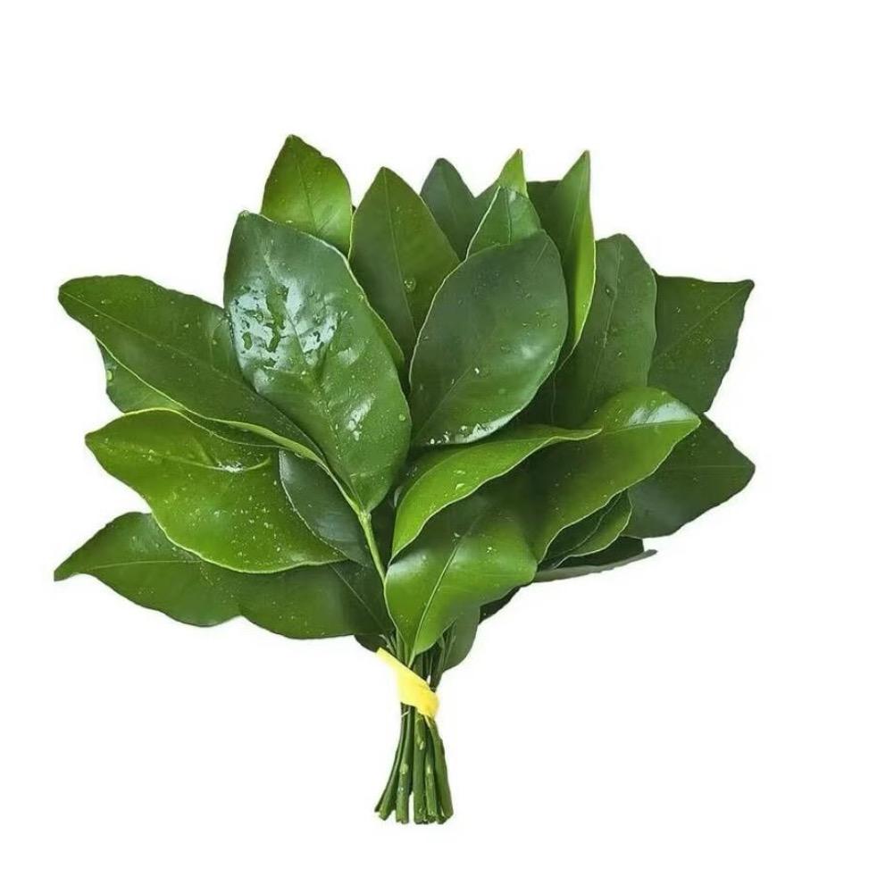 珊珊