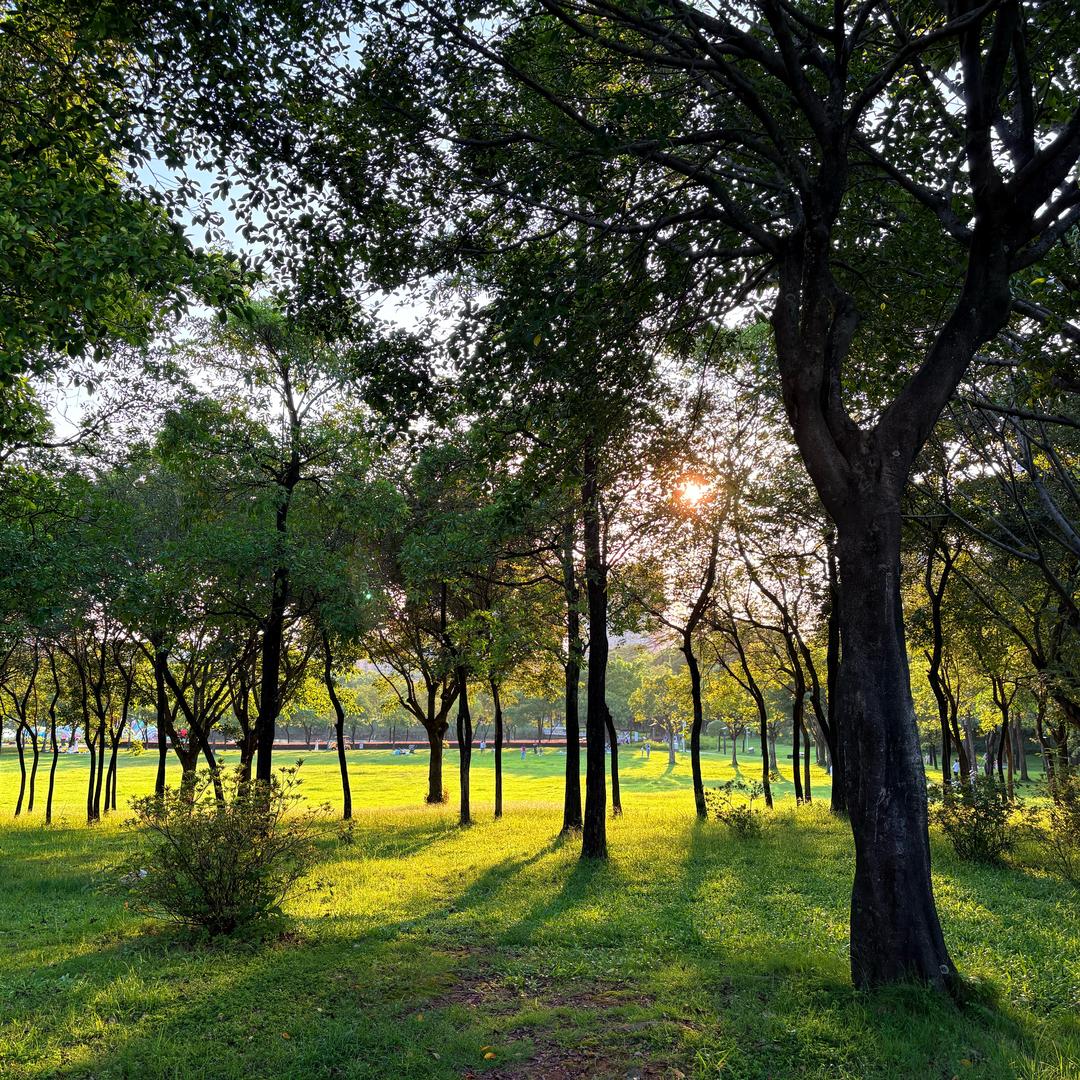 冰淇淋爱英语kkk