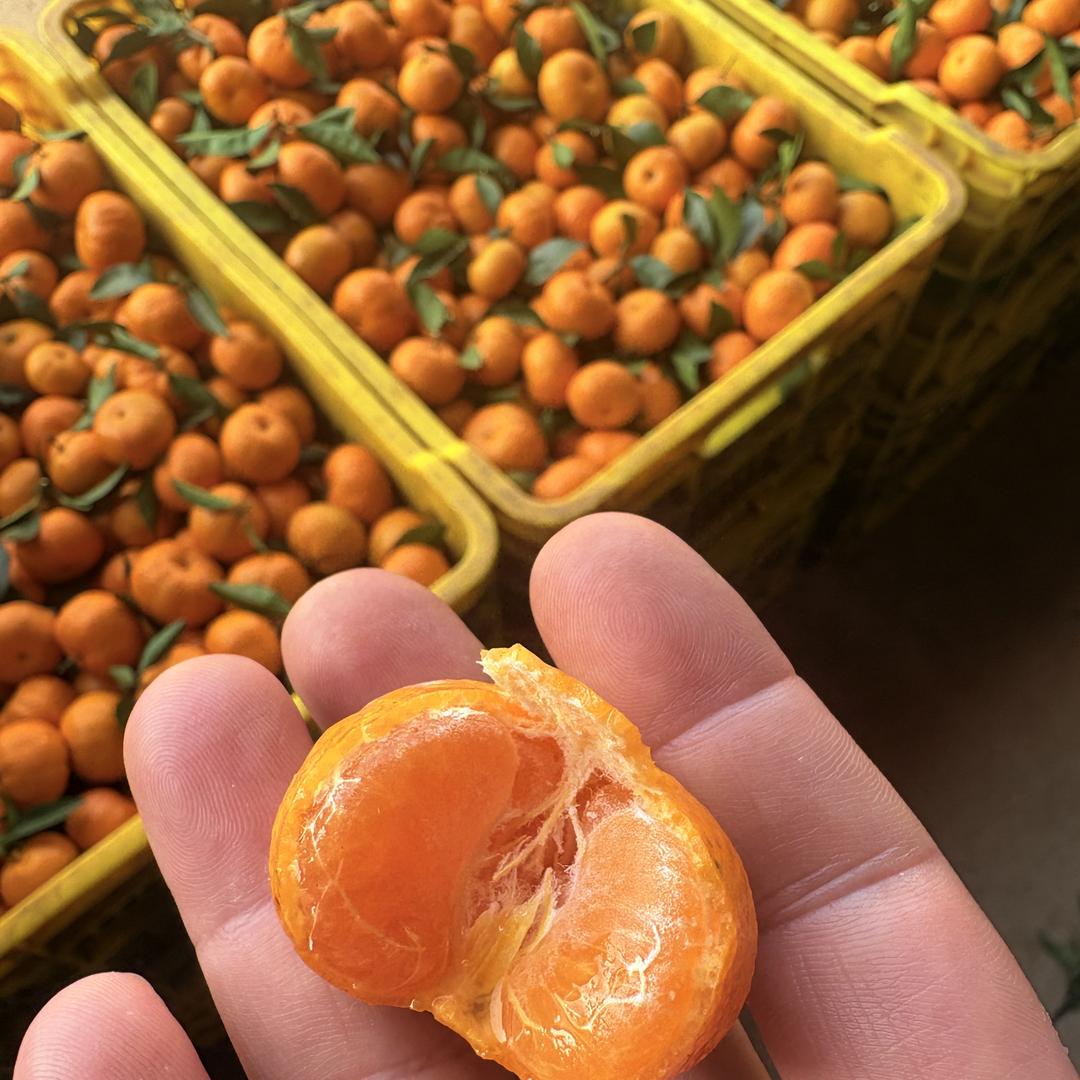 胡凯～鲜口糖麒麟供应链