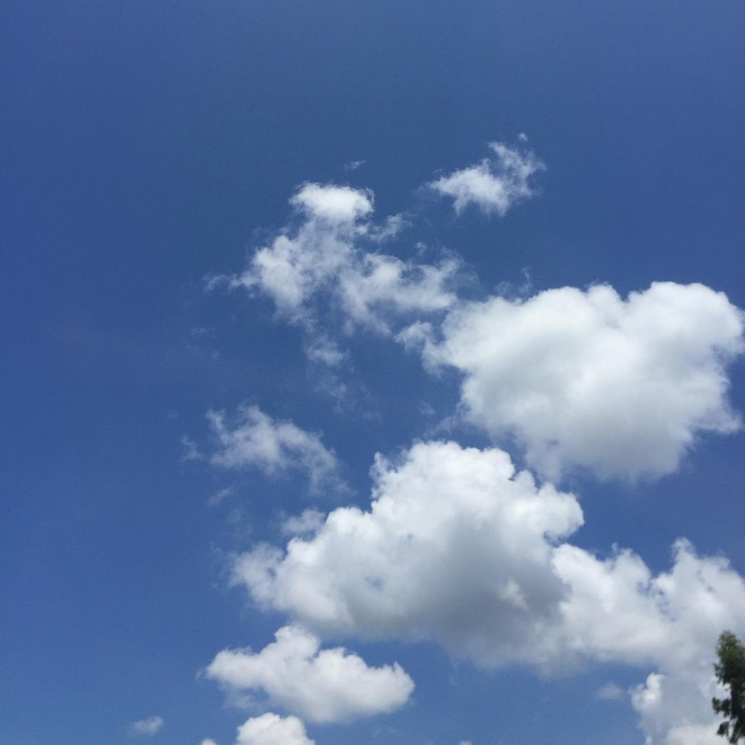 左边