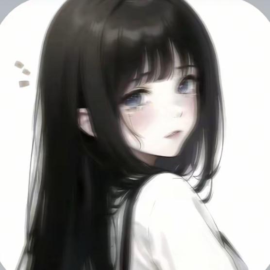 会飞的猫