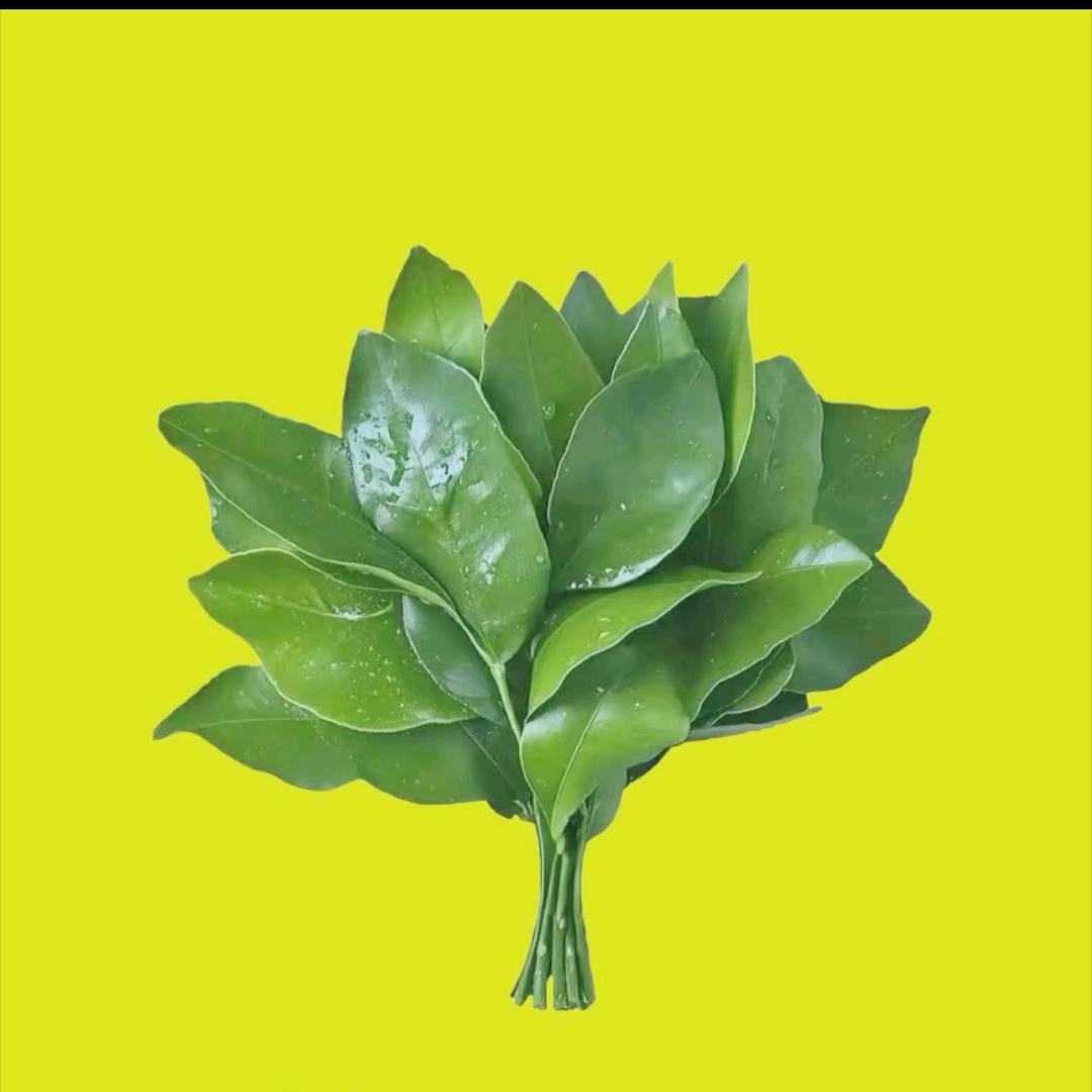ཽ氟西汀ོ࿐ᩚ