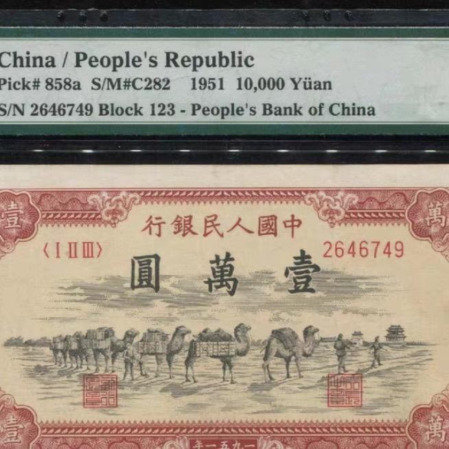 博旺通专业收藏