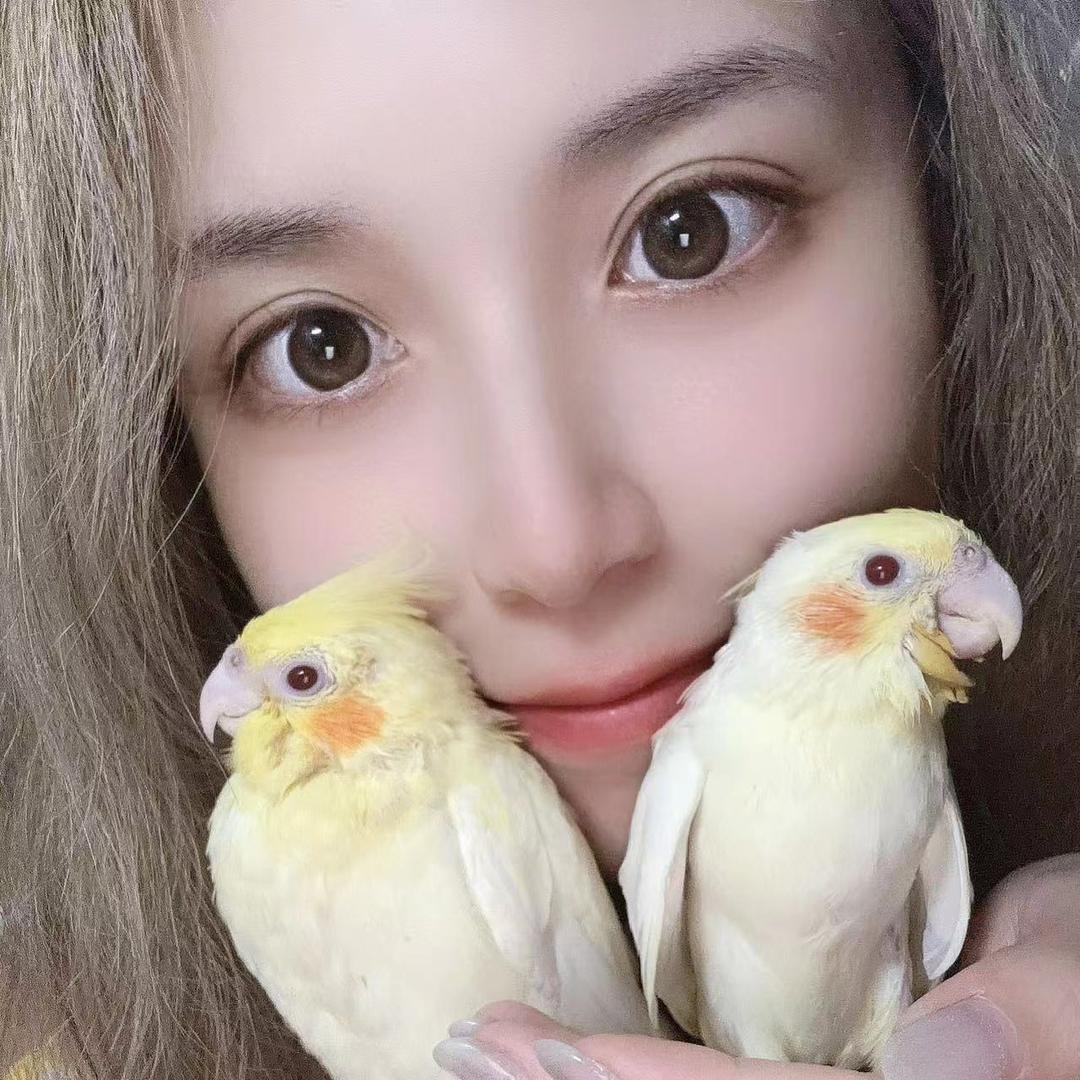 迪士尼在逃海肠仙女