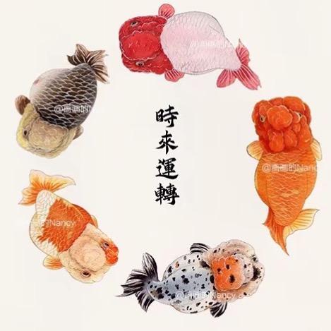 亿条渔养殖场