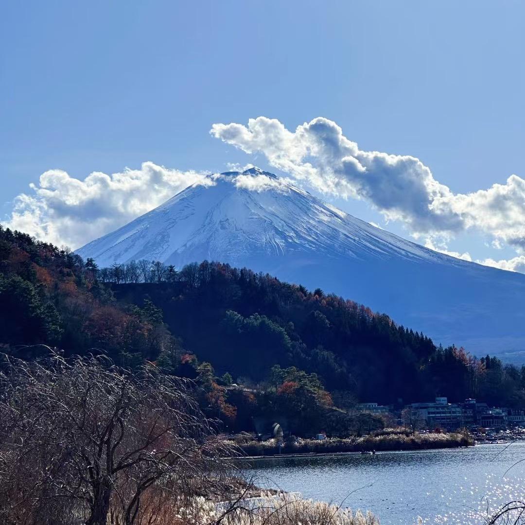 💗梅❤️梅🎄