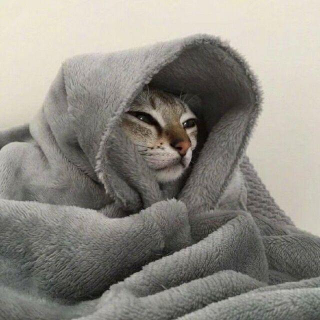 秋