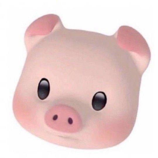 懒猪zZ