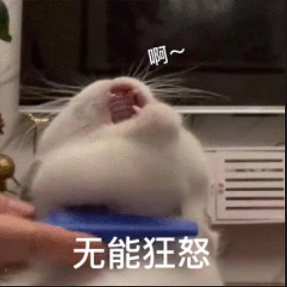 再练腹没感觉要疯了🌞