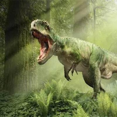 星光璀璨官方解说