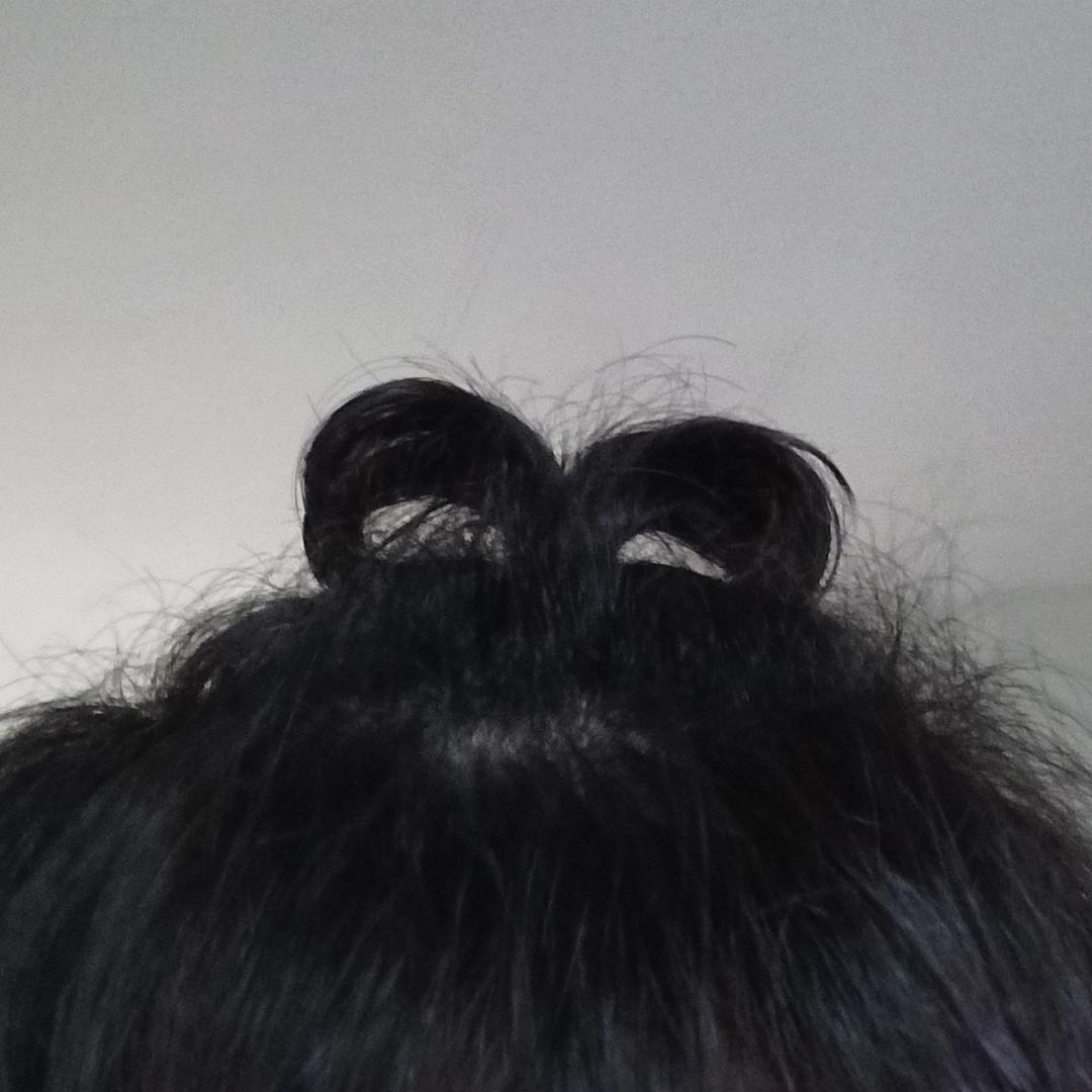 路过的碳烤章鱼