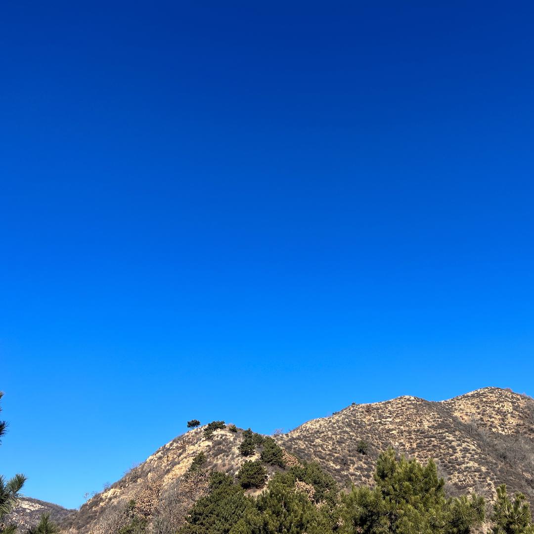 勁柏寒松🇨🇳