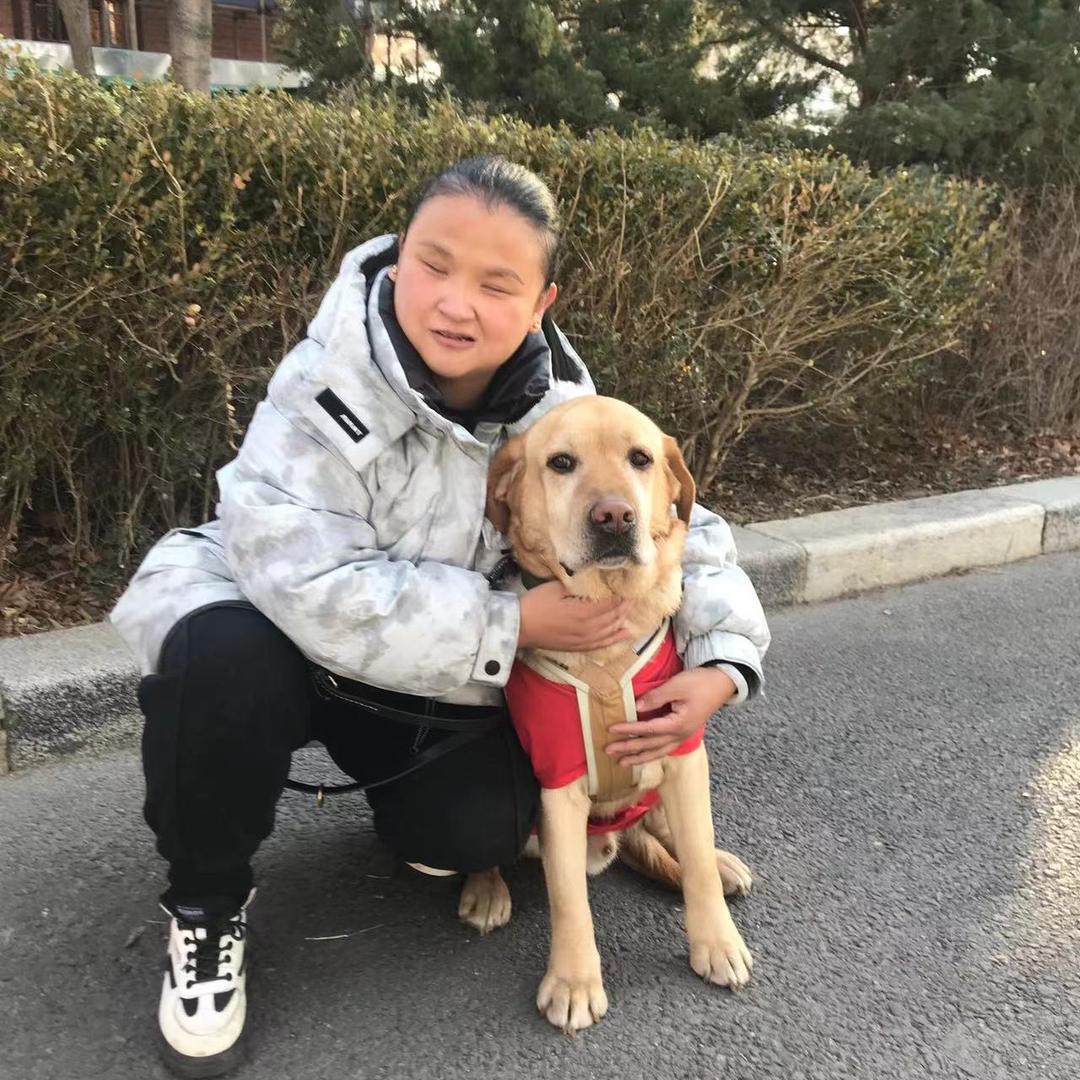 导盲犬唐朝。