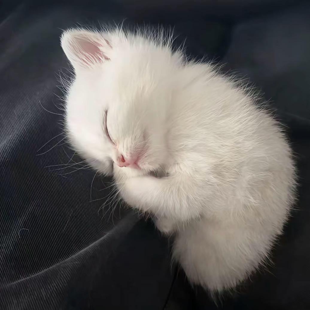 风吹不散的认真