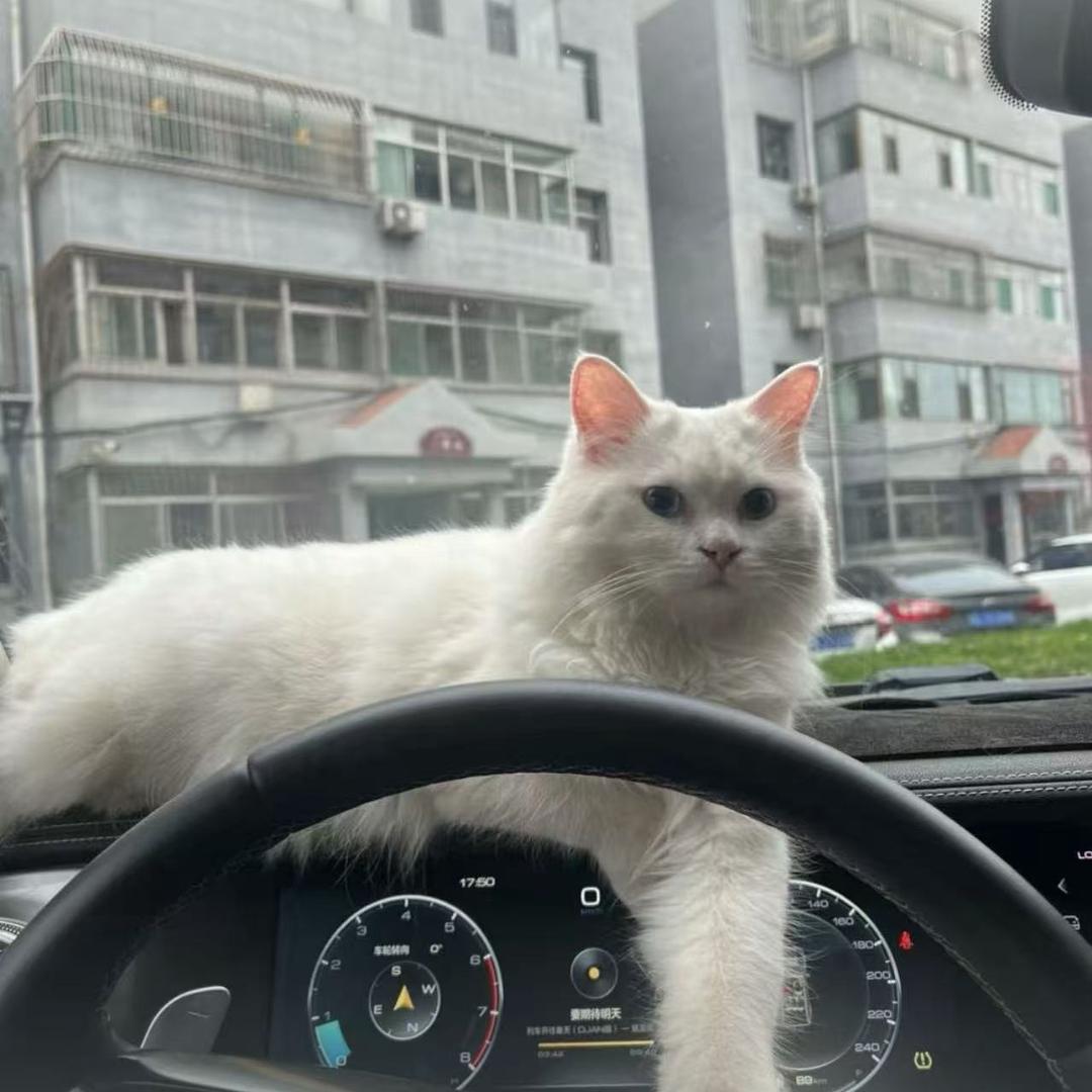 柬埔寨