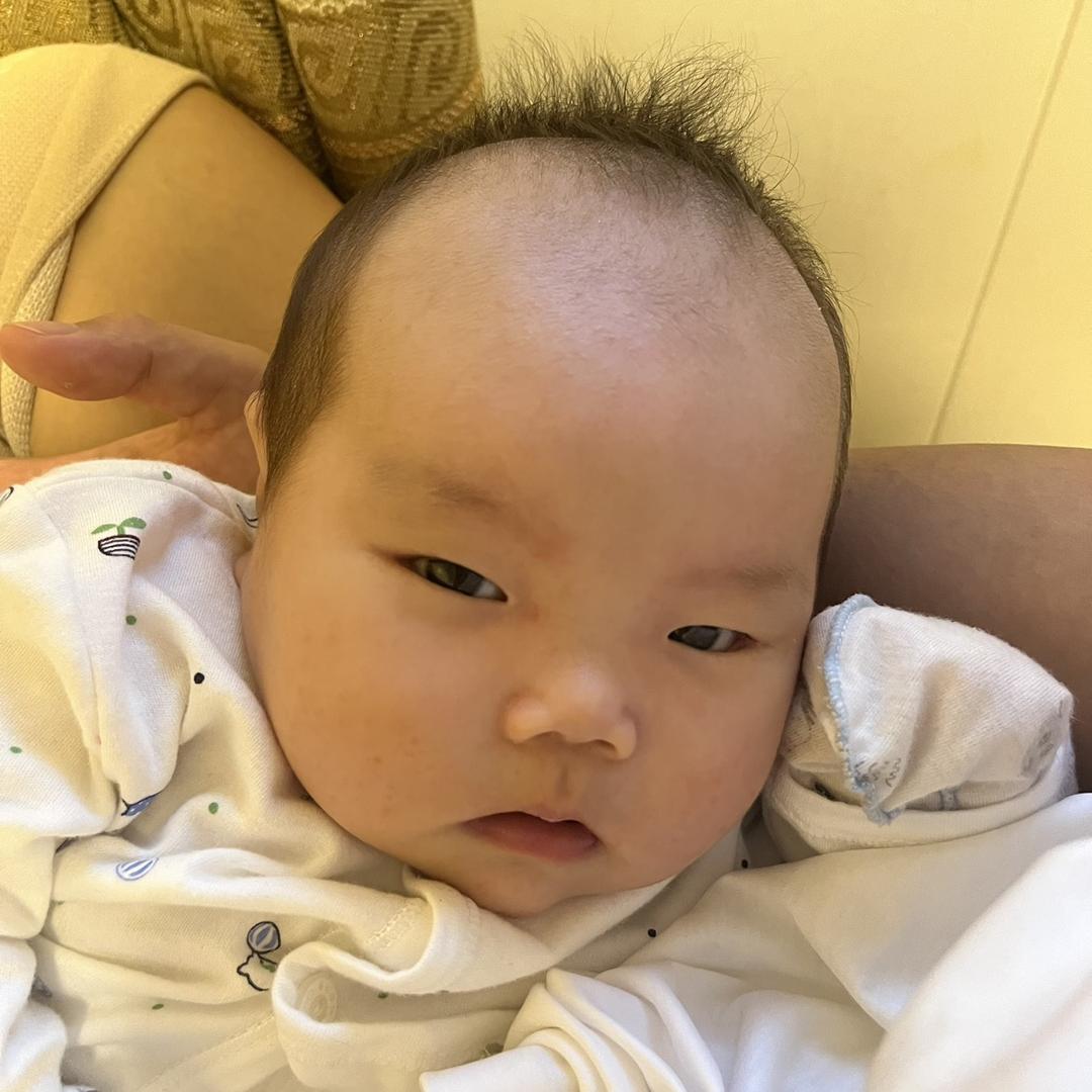 胖宝宝猪柒妹