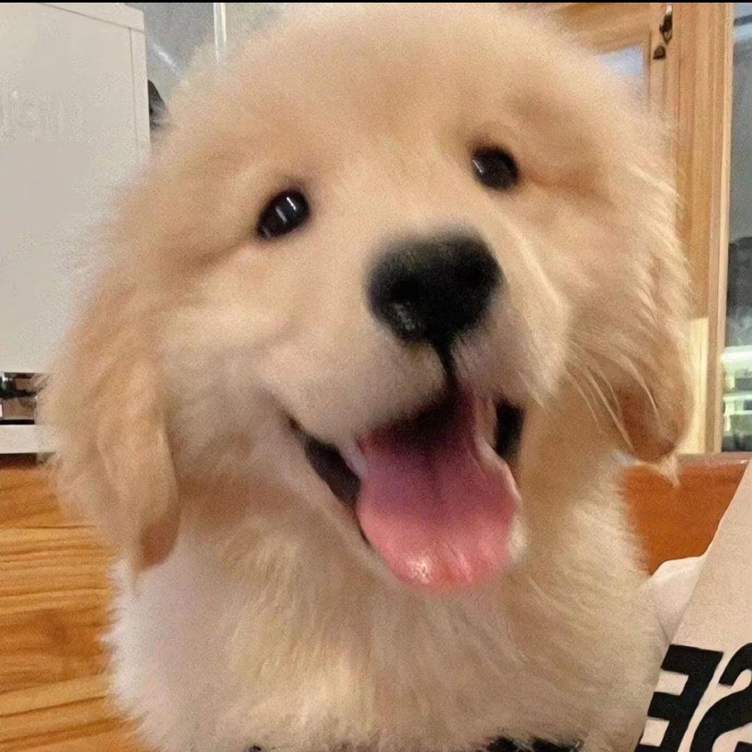白白