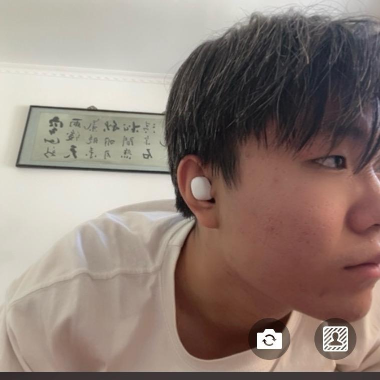 矮冬寡