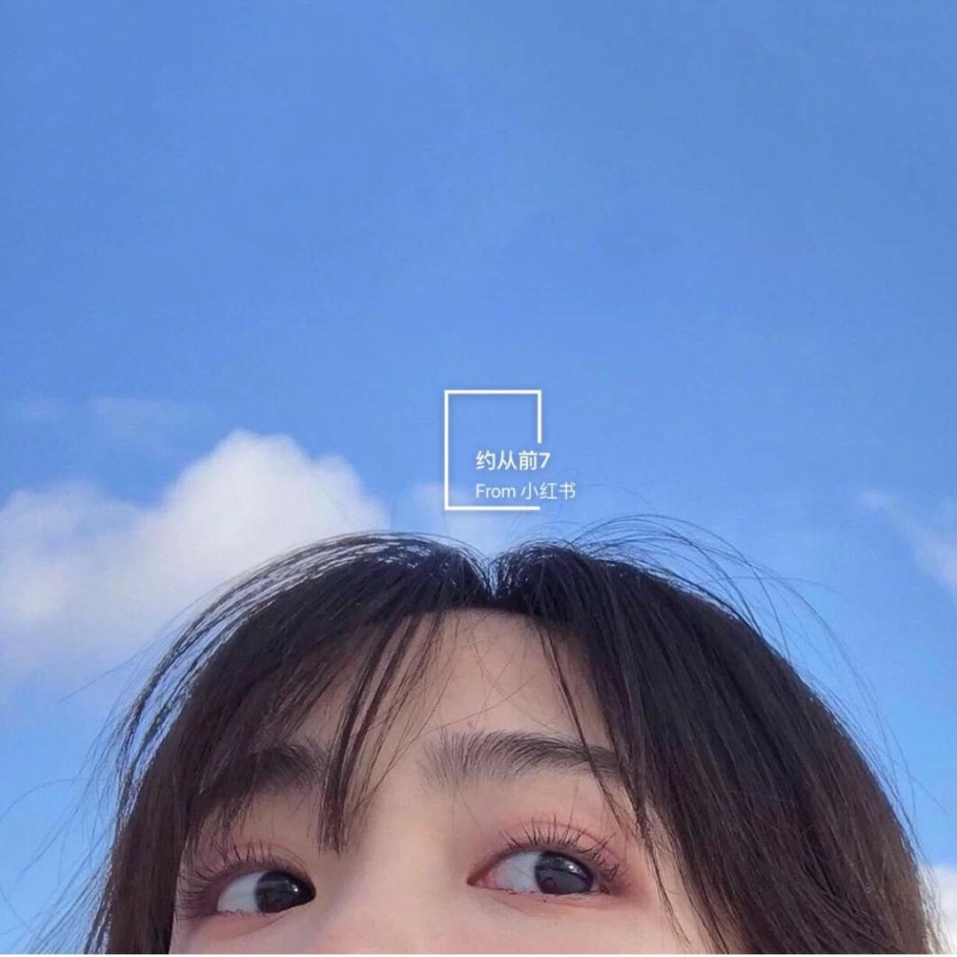 鸽子🕊️