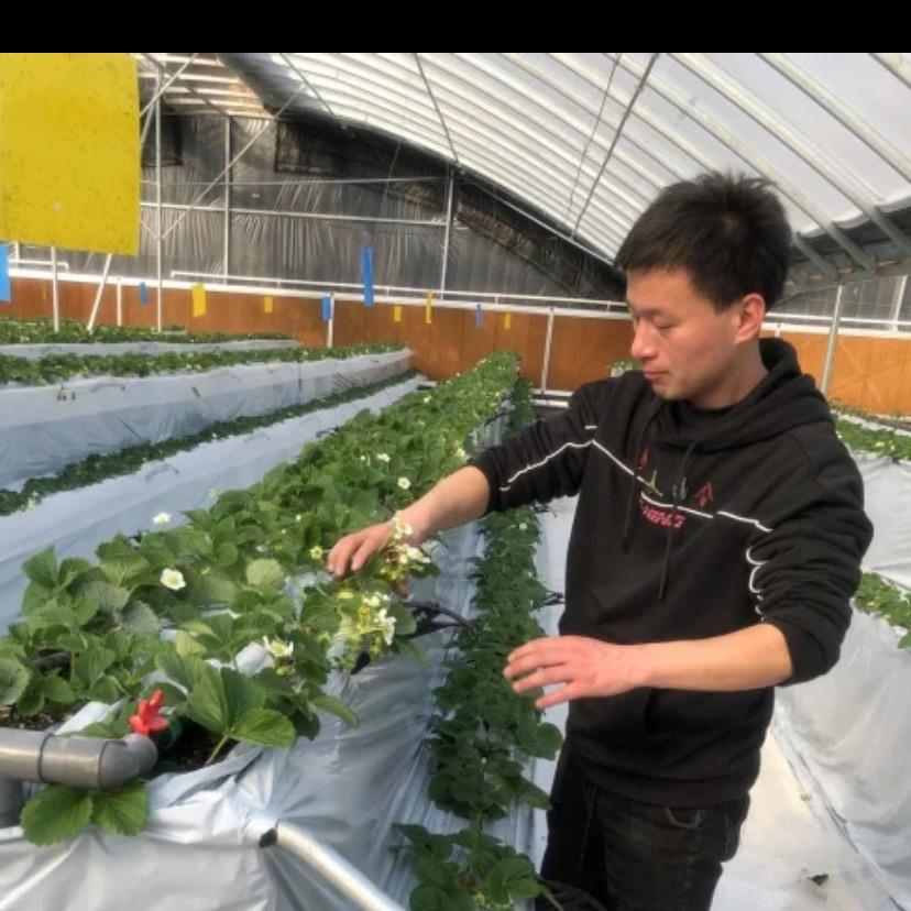 农业科普王玲军（寿光温室大棚材料厂）