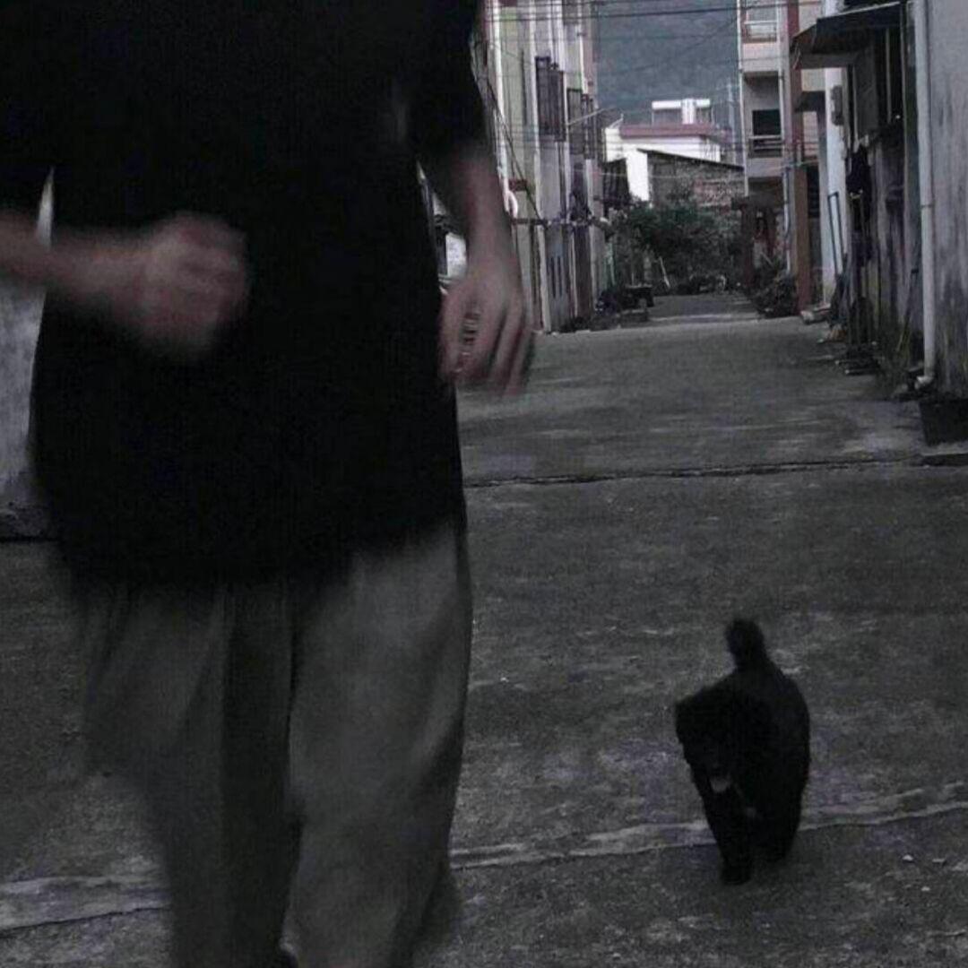 帅气的地瓜