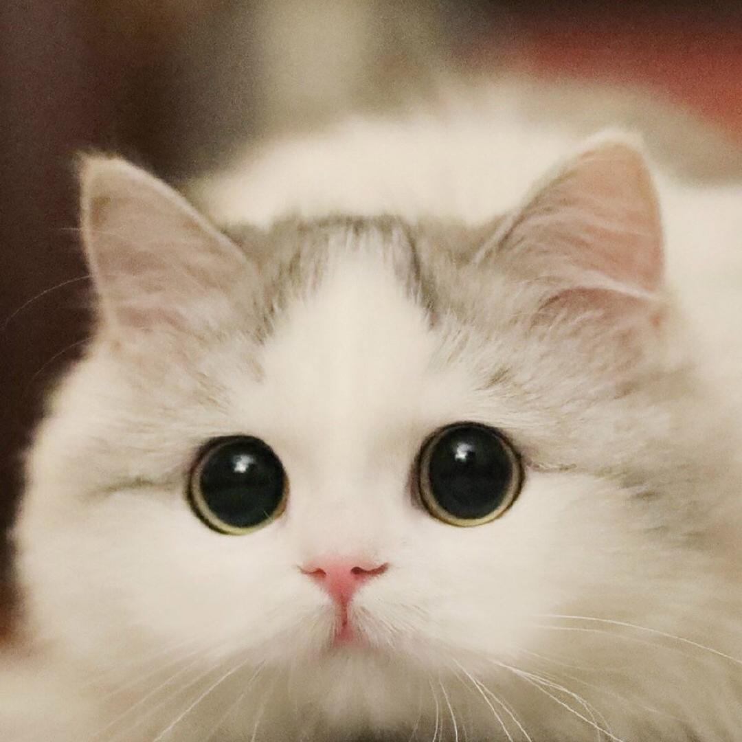 但愿……