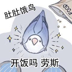 🌈山野莓莓🌈