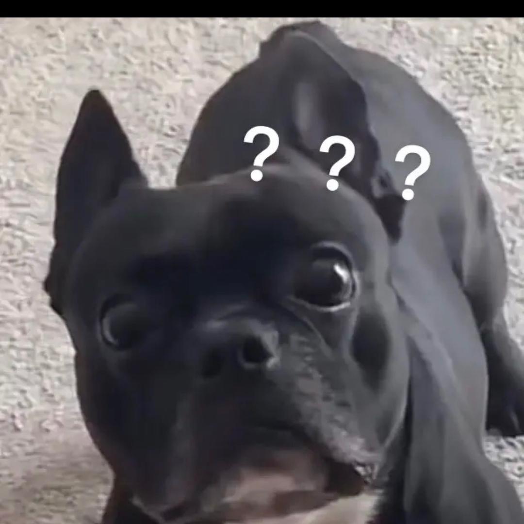 一只猪🐷