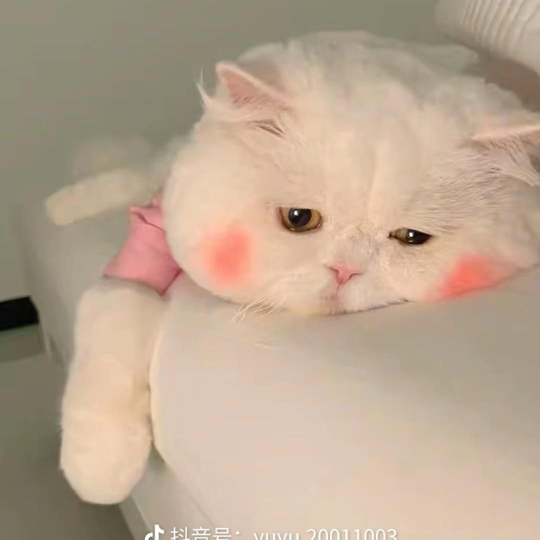 ～超级无敌美少女