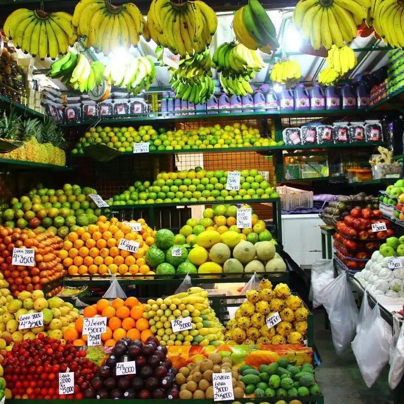 广东罗老板高端水果