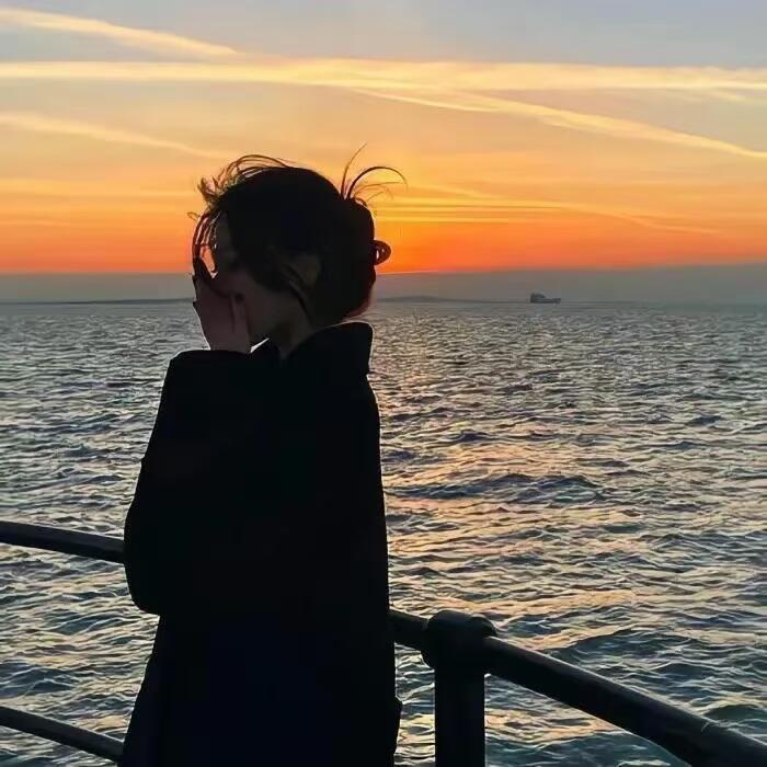 小 Z 🌙