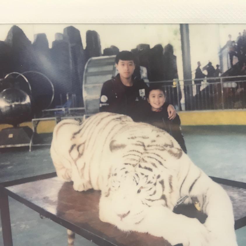 闽盛塑胶