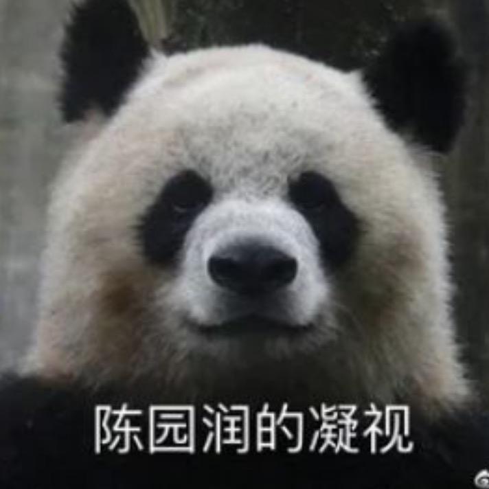 撞石崽