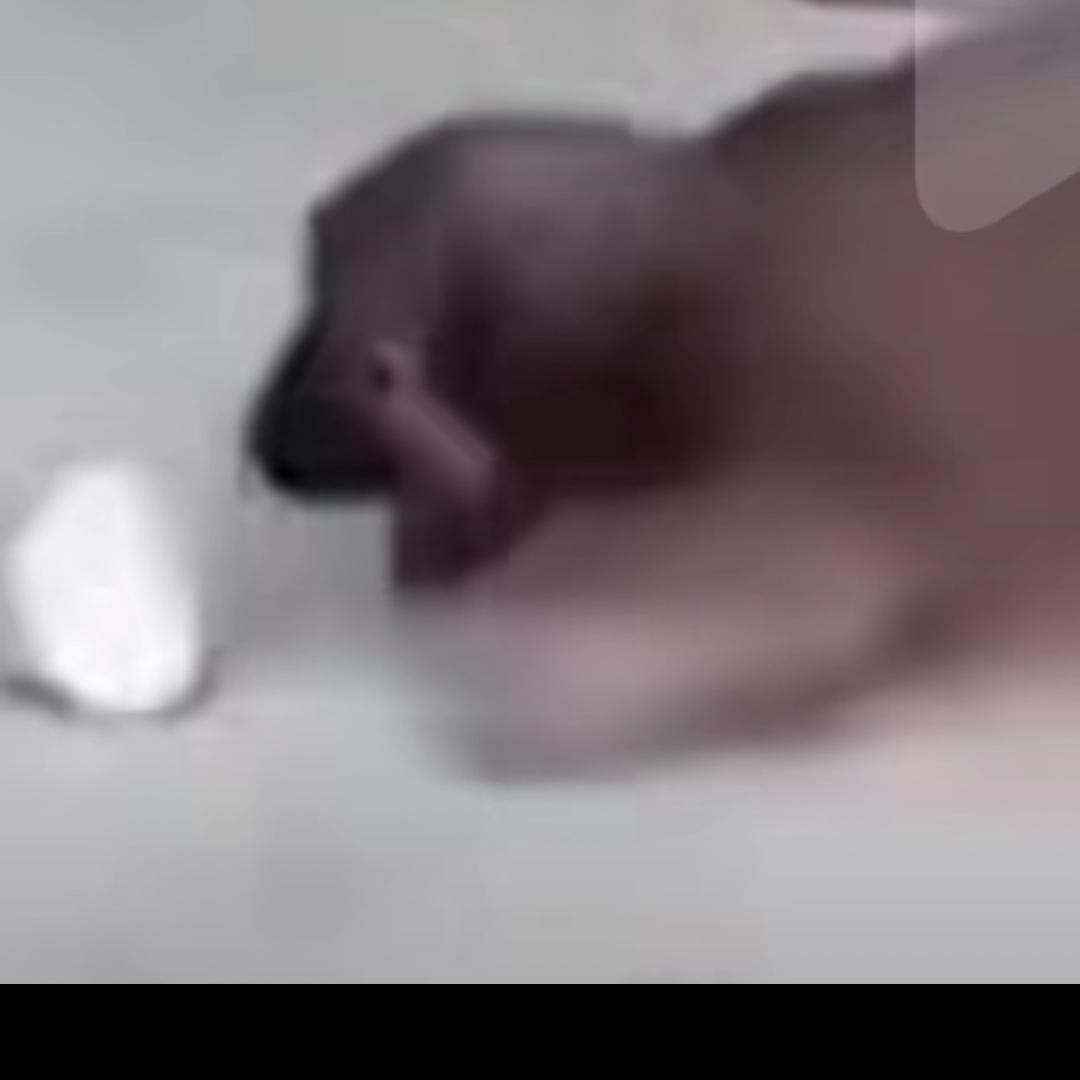 太阳