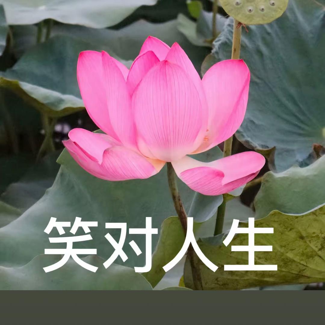 花开富贵101
