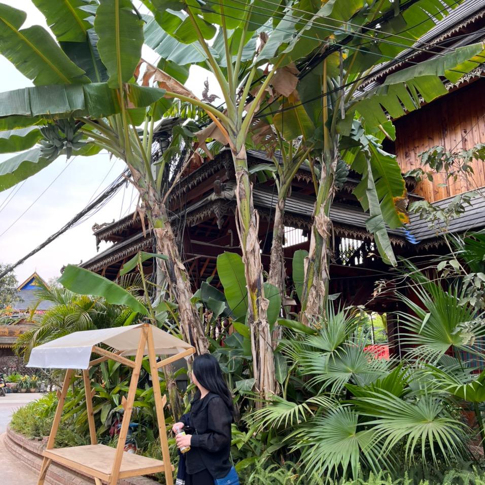 花桥茶甜