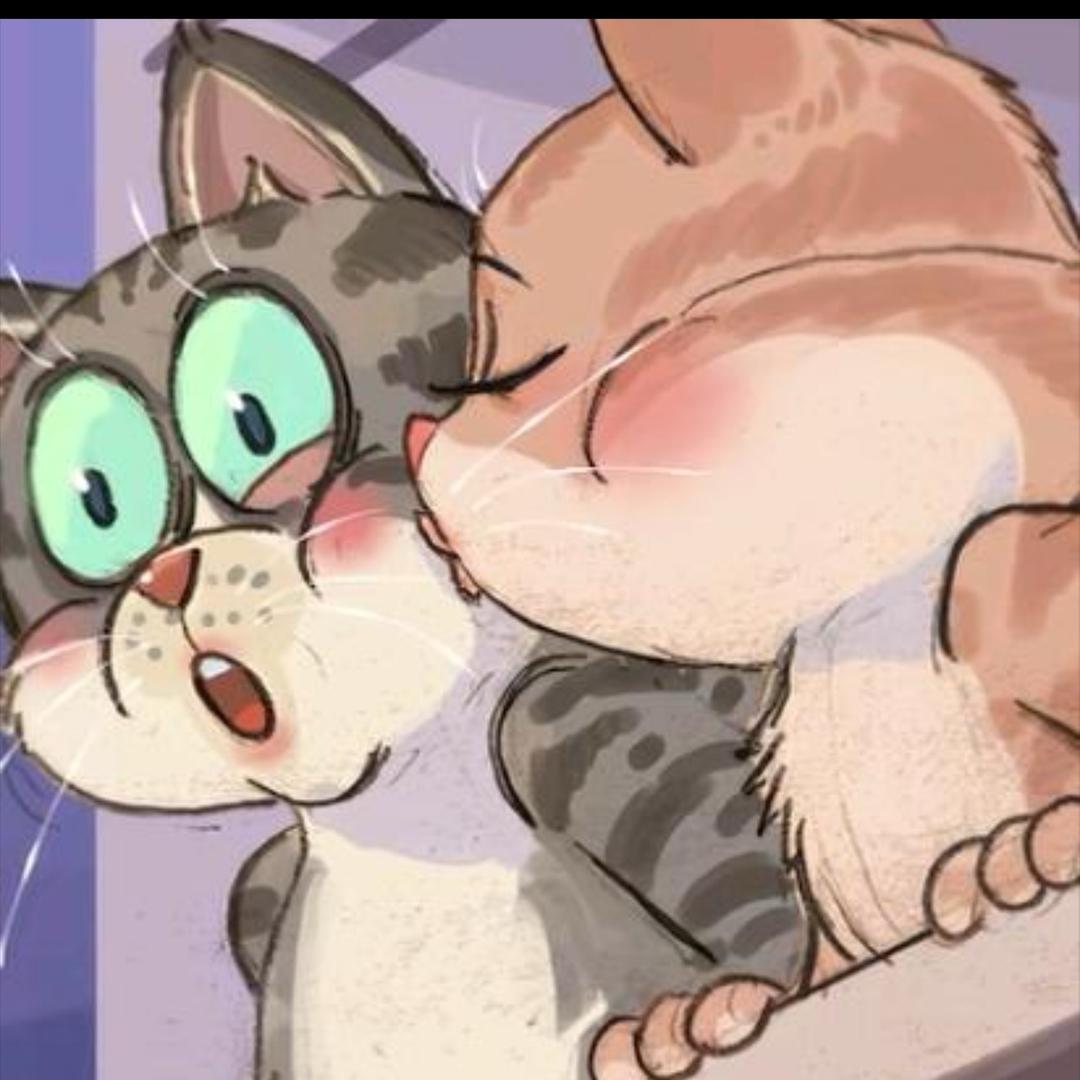 1 1