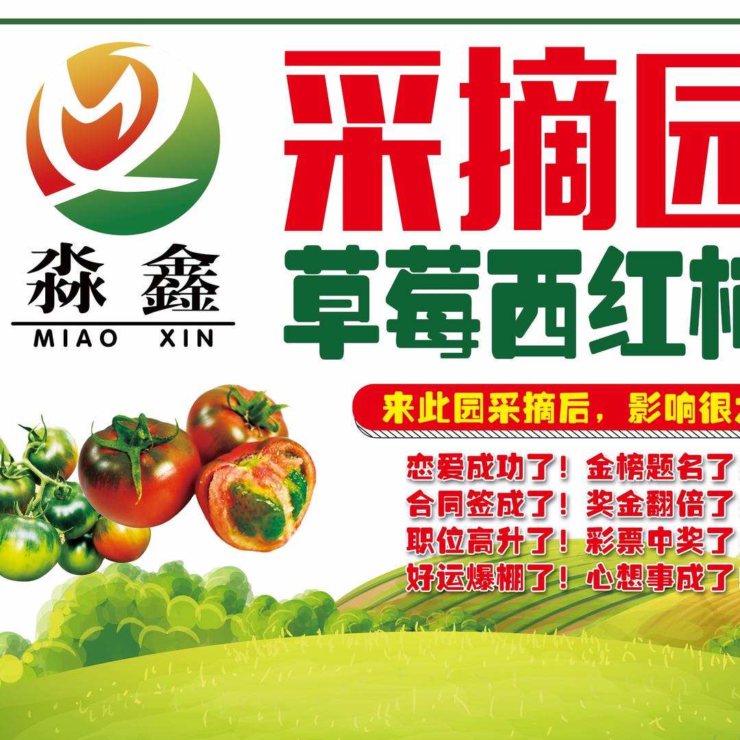 淼鑫草莓西红柿