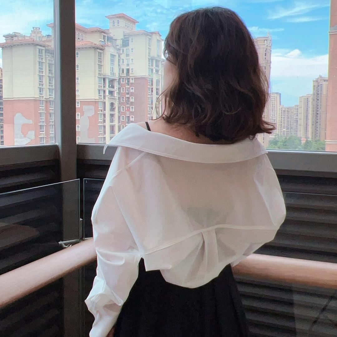 MAGTED（弥生）小李子