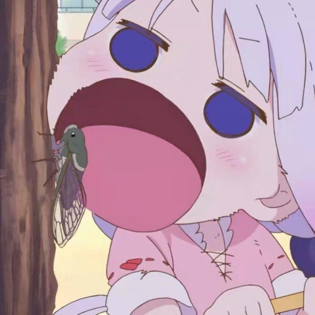 我是可爱小小鸡