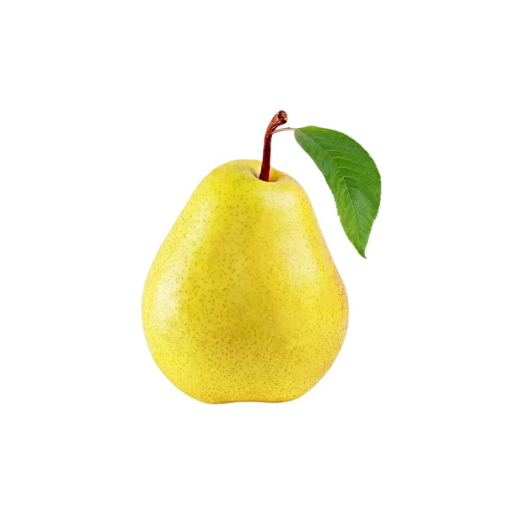 梨梨🍐¹⁰¹