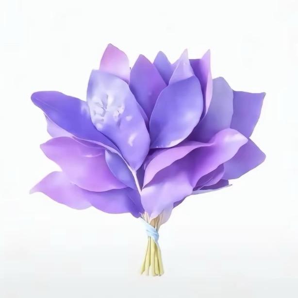 东莞一家香水店-凤鸣崖香