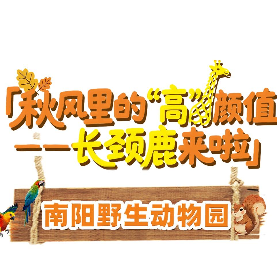 丽丽旅游团购