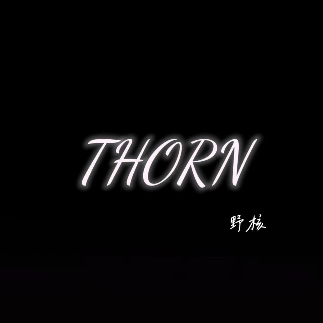 THORN野核工作室