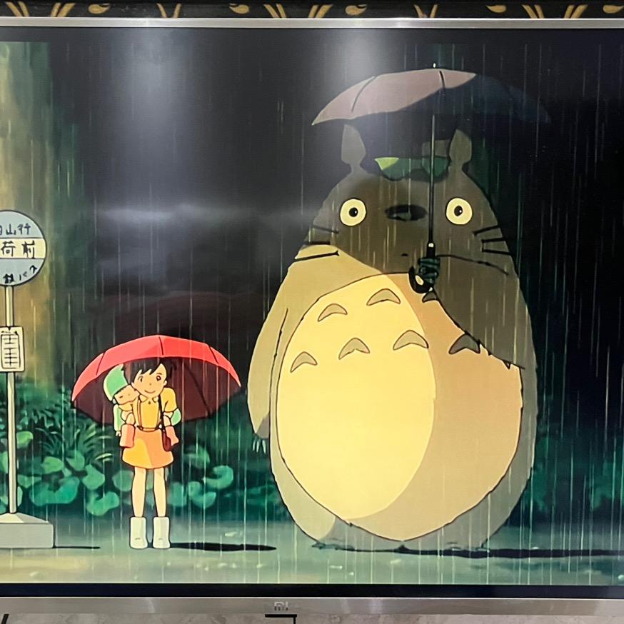 🌈孟里啥都有🌈