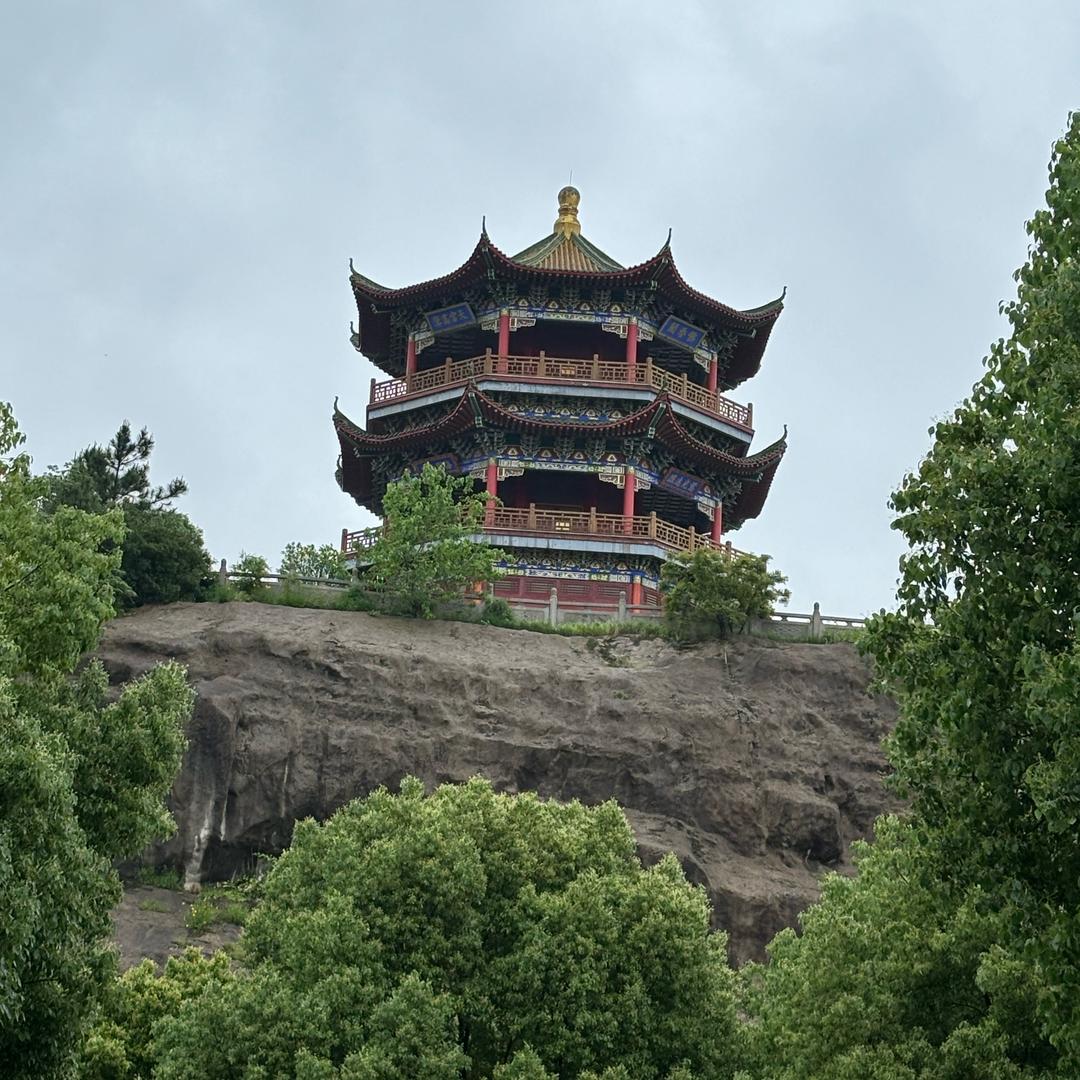 比目鱼