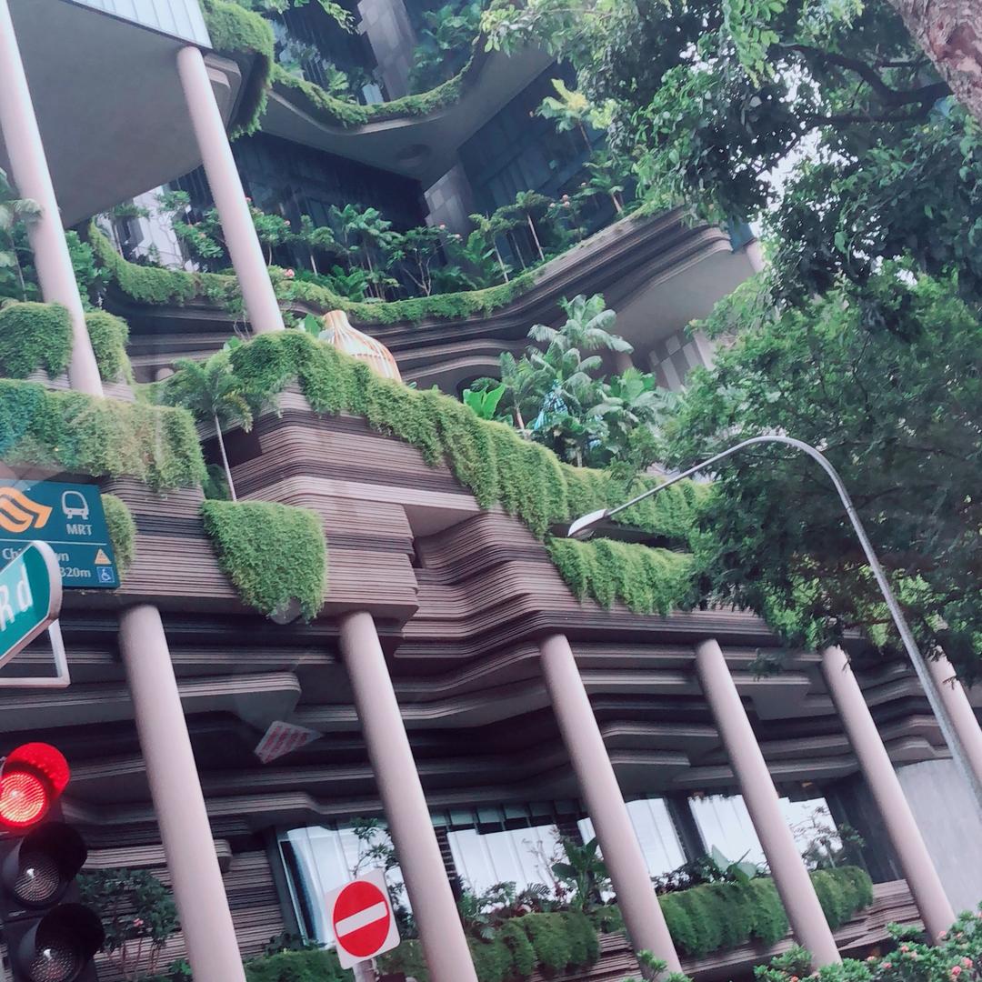 @海边的贝壳🐚