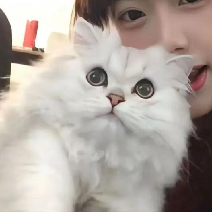 我爱吃炒方便面