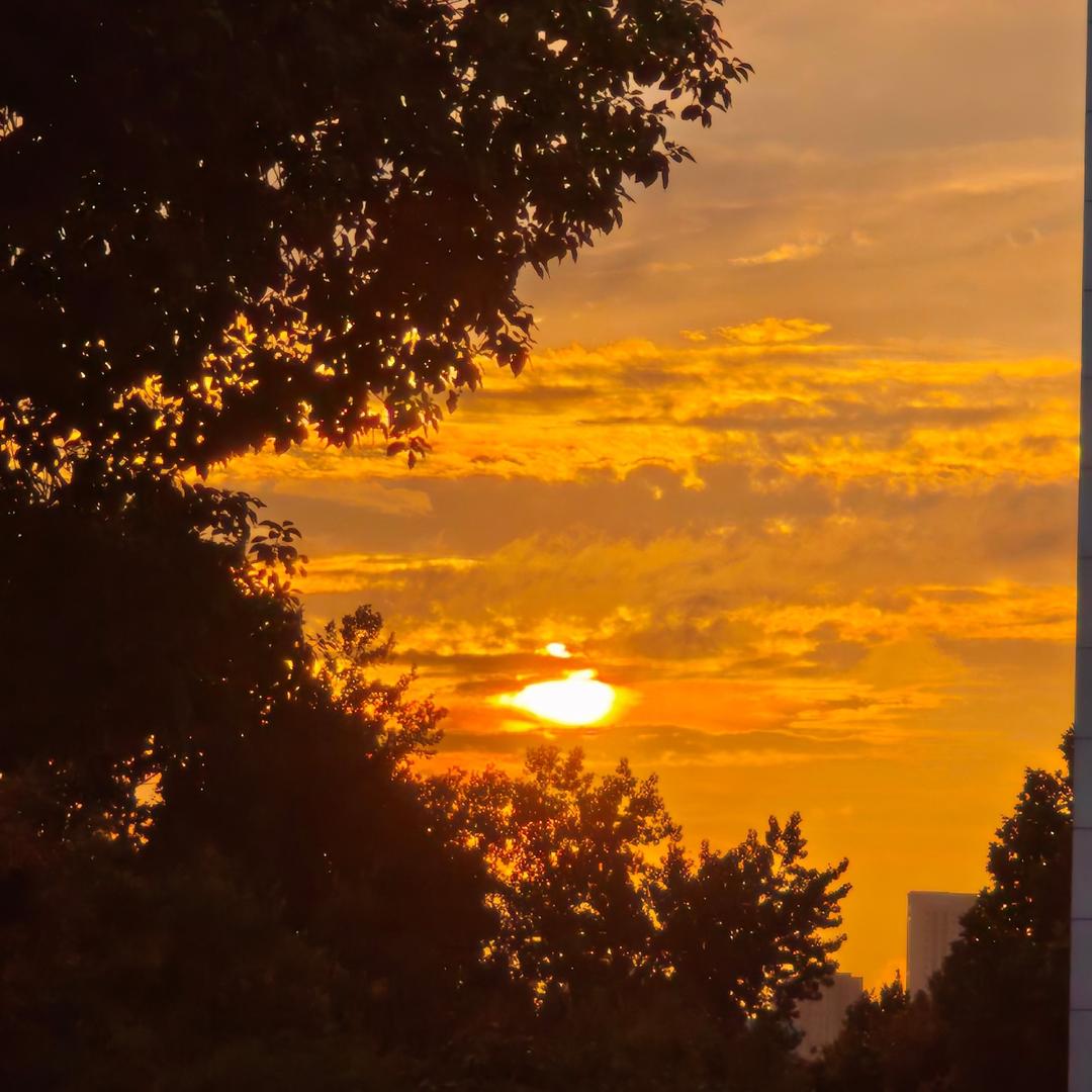 博一博单车变摩托