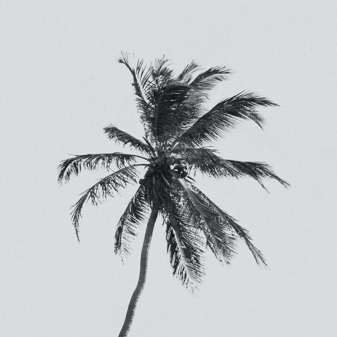 三天轻断食果蔬汁